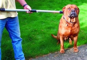 Chwytak na bardzo agresywne psy, 100 cm Chwytak na bardzo agresywne psy, 100 cm